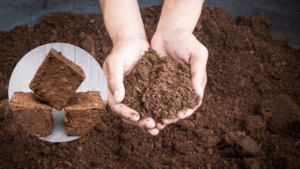 Coco Peat Bricks - Composting toilet mediums