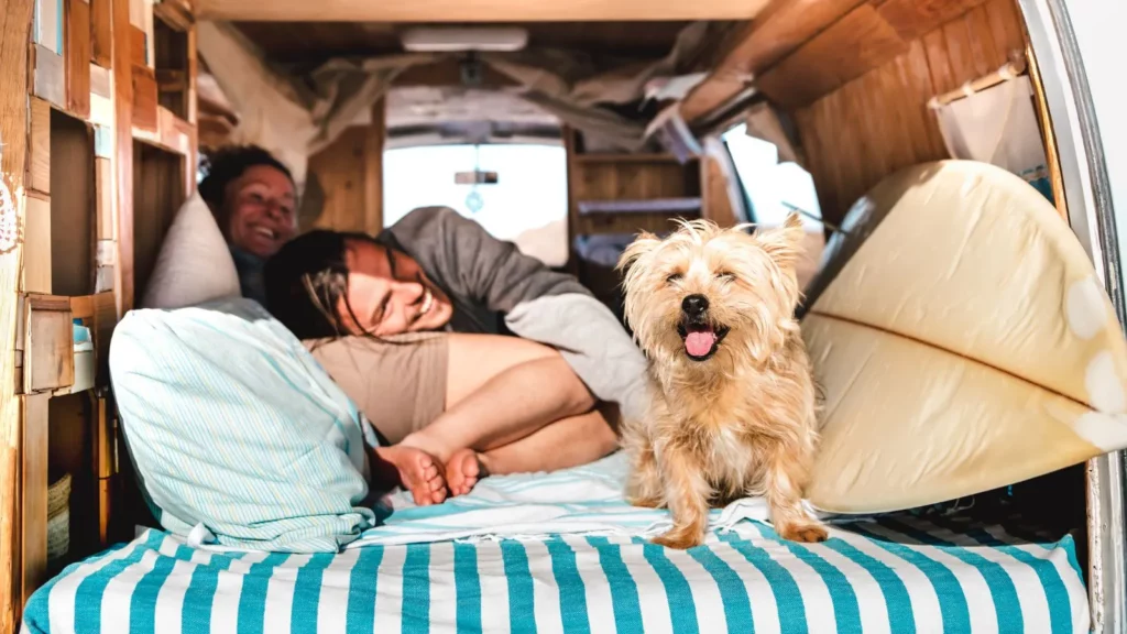 A couple and a dog in a camper van - Stealth Camping Guide